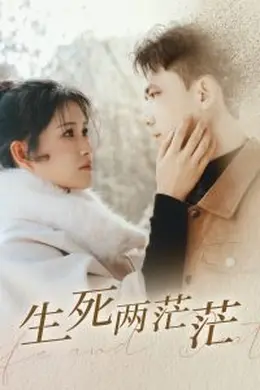 生死两茫茫海报图片
