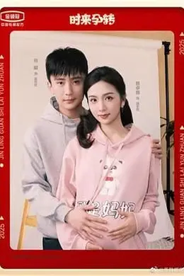 时来孕转封面图