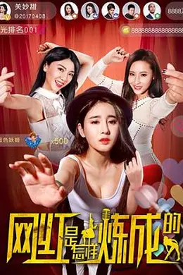 网红是怎样炼成的封面图