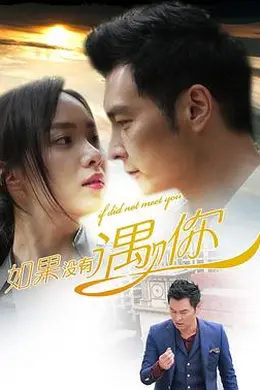 如果没有遇见你封面图