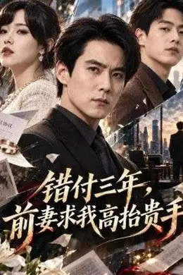 错付三年，前妻求我高抬贵手封面图