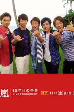 岚：15周年的告白封面图