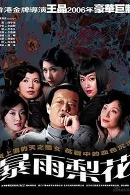 暴雨梨花封面图