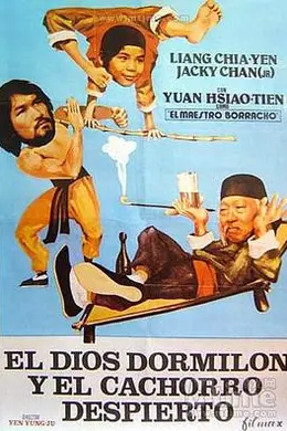 睡拳怪招封面图