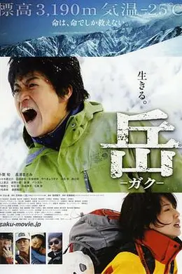 岳：冰峰救援封面图