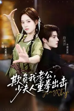 欺负我老公，少夫人重拳出击封面图