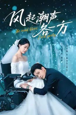 风起潮声各一方封面图