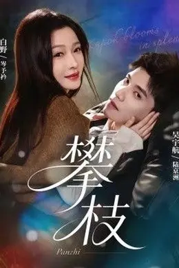 攀枝封面图