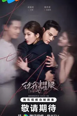 许我耀眼封面图