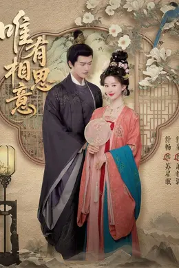 唯有相思意海报图片