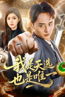 我是天选，也是唯一封面图