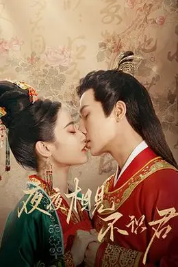 夜夜相见不识君封面图