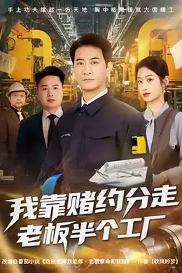 我靠赌约分走老板半个工厂海报图片