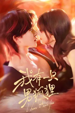 我有一只男狐狸封面图