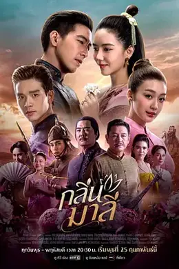 茉莉芬芳封面图