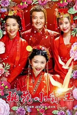 桃花小霸王封面图