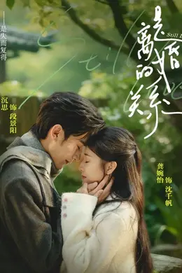 是离婚的关系海报图片