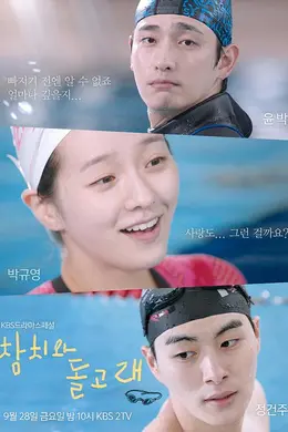 金枪鱼与海豚封面图