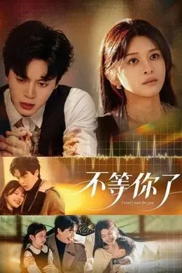 不等你了封面图