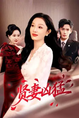 贤妻凶猛海报图片