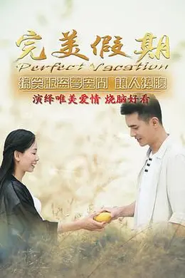 完美假期之从雪山到大海封面图