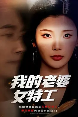 我的老婆女特工海报图片