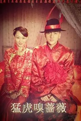 猛虎嗅蔷薇封面图