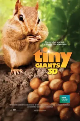 小巨人 3D封面图