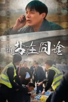 盐在囧途海报图片