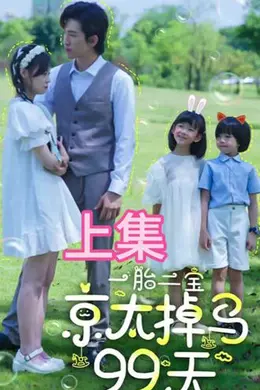 一胎两宝，京太掉马99天海报图片
