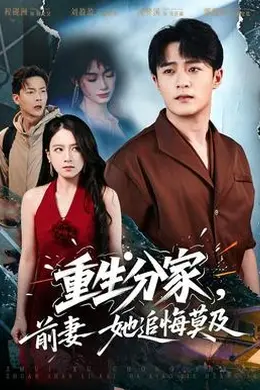 重生分家，前妻她追悔莫及海报图片