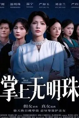 掌上无明珠海报图片