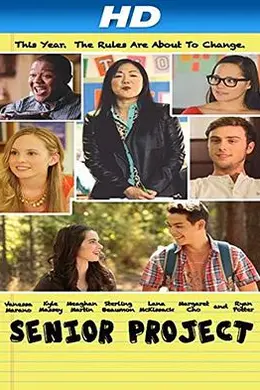 高级项目封面图