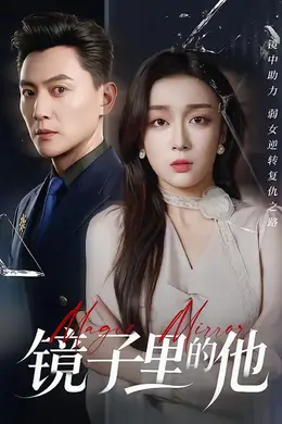 镜子里的他封面图