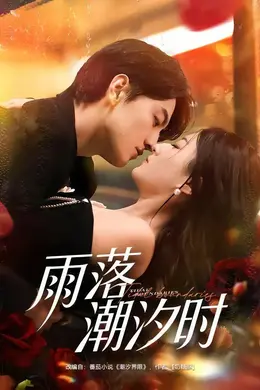 雨落潮汐时封面图