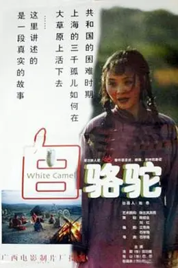 白骆驼封面图