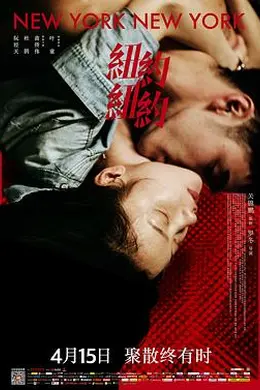 纽约纽约封面图