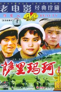 萨里玛珂封面图