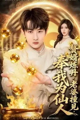 赘婿炼丹，老婆撞见，奉我为仙人封面图