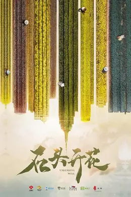 石头开花网络版封面图