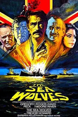 海狼（原声版）上封面图