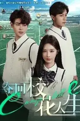 夺回校花人生海报图片