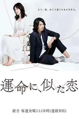 命运般的恋爱封面图