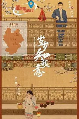 岁岁知我意封面图