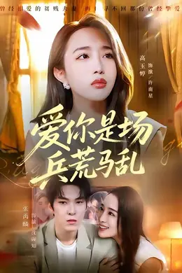 爱你是场兵荒马乱海报图片