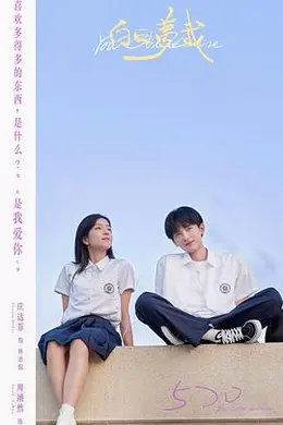 白日梦我封面图