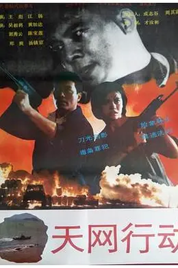 天网行动封面图