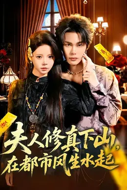 夫人修真下山，在都市风生水起海报图片