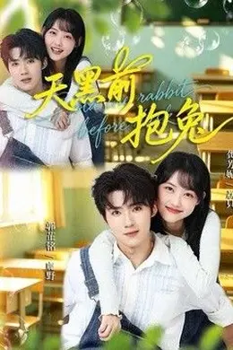 天黑前抱兔封面图