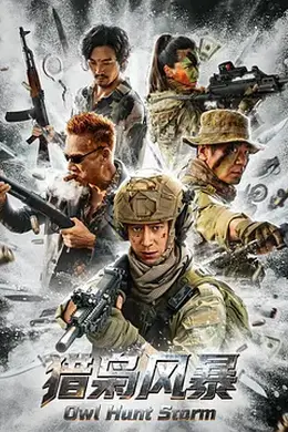 猎枭风暴封面图